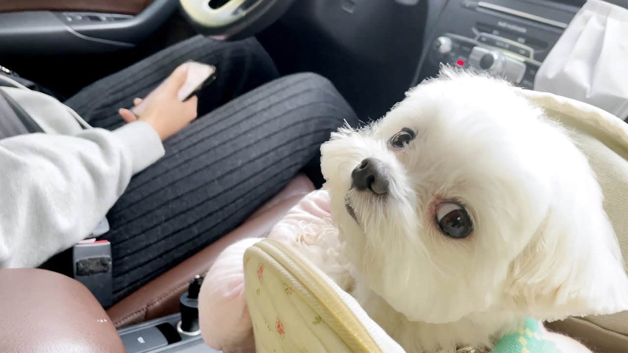 아니 너가 따라나온다며