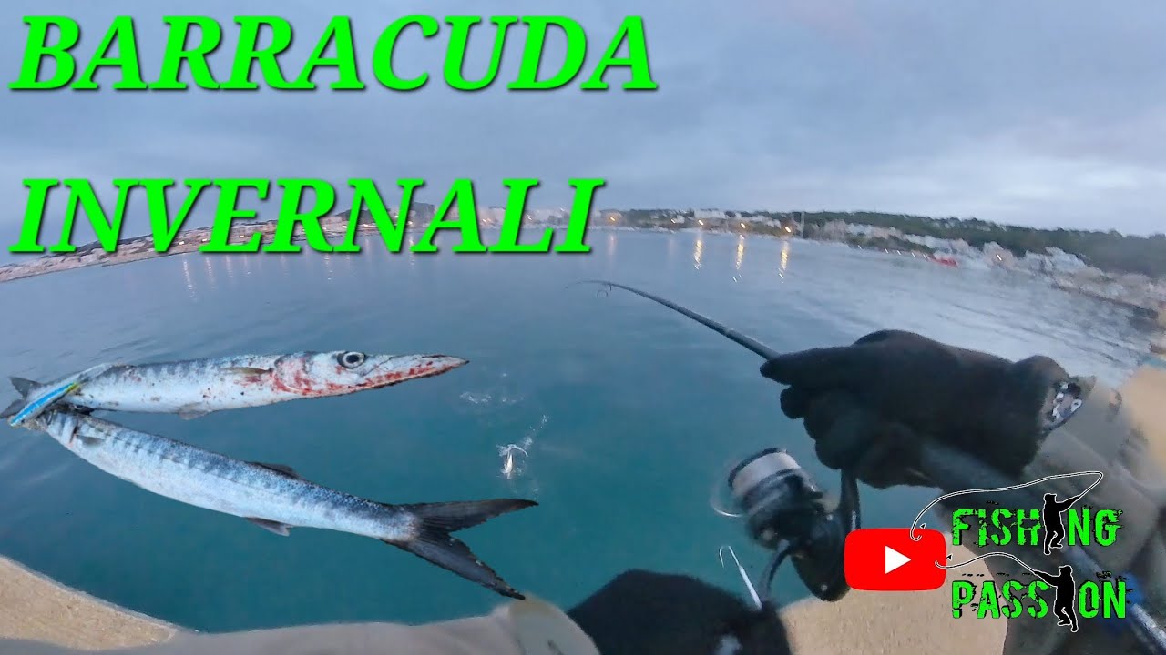 SPINNING AL BARRACUDA INVERNALE DUEL HARDCORE MINNOW 210