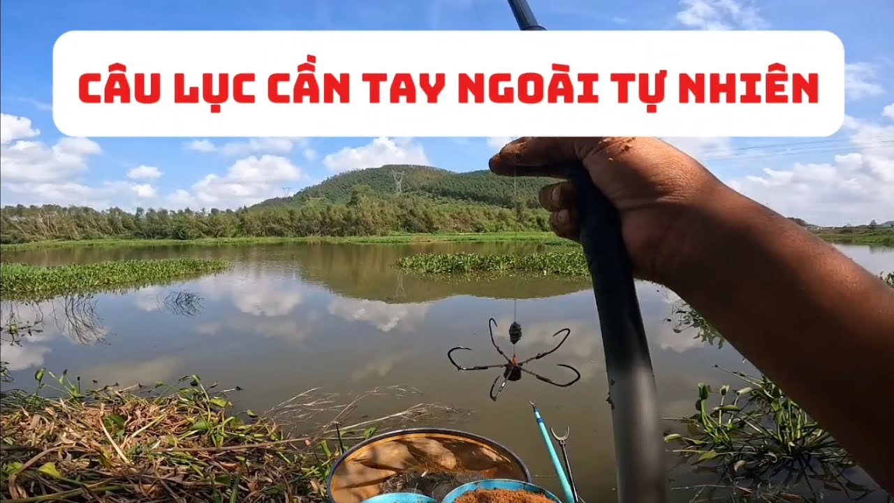 Câu lục cần tay ngoài tự nhiên và cái kết #cauluccantay 