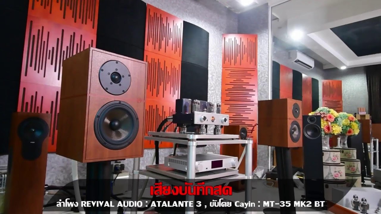 🛑 รีวิว Revival Audio  รุ่น ATALANTE 3 จับคู่แอมป์หลอดเข้ากันมากๆ