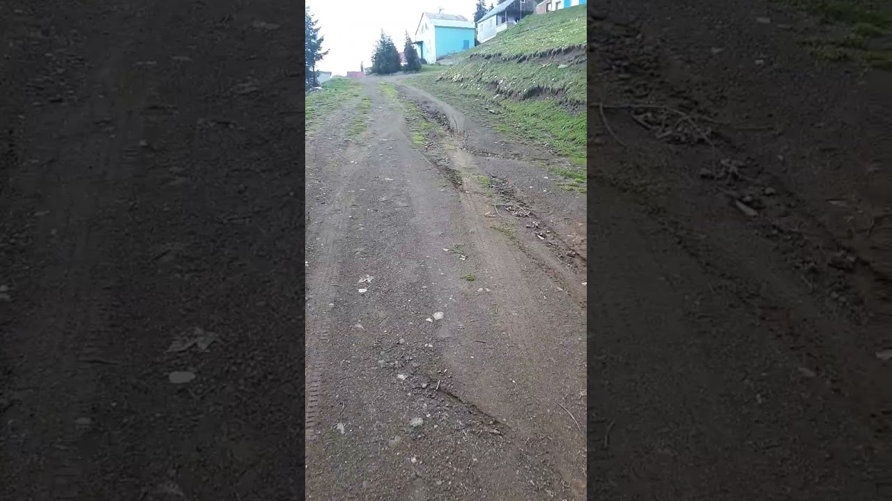 gezginlik