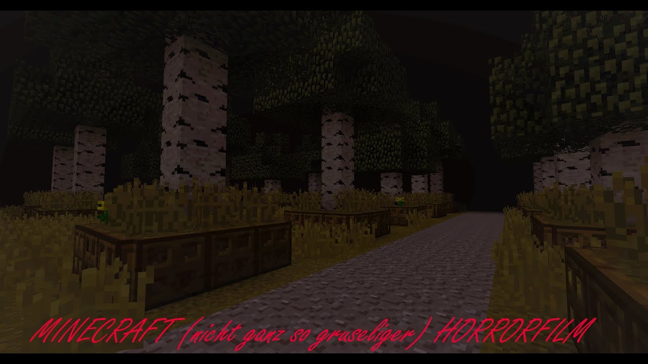 MINECRAFT (nicht ganz so gruseliger) HORROR FILM! (in Deutsch)