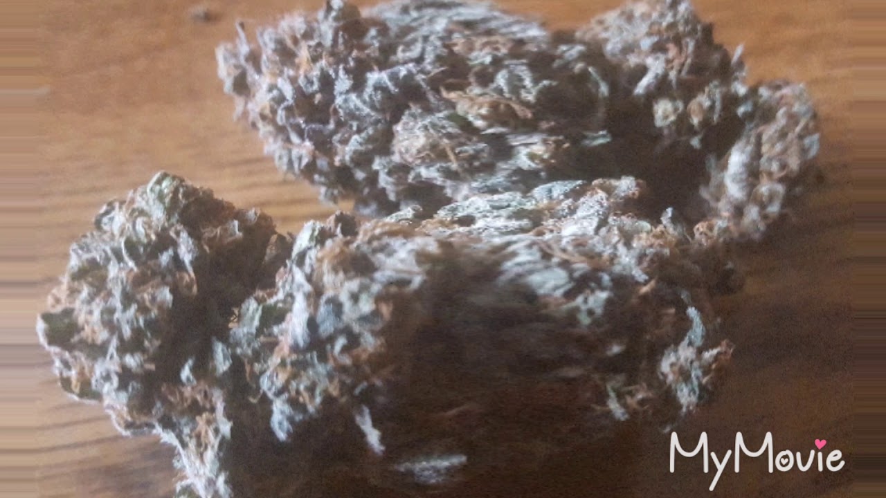 MK Ultra Review