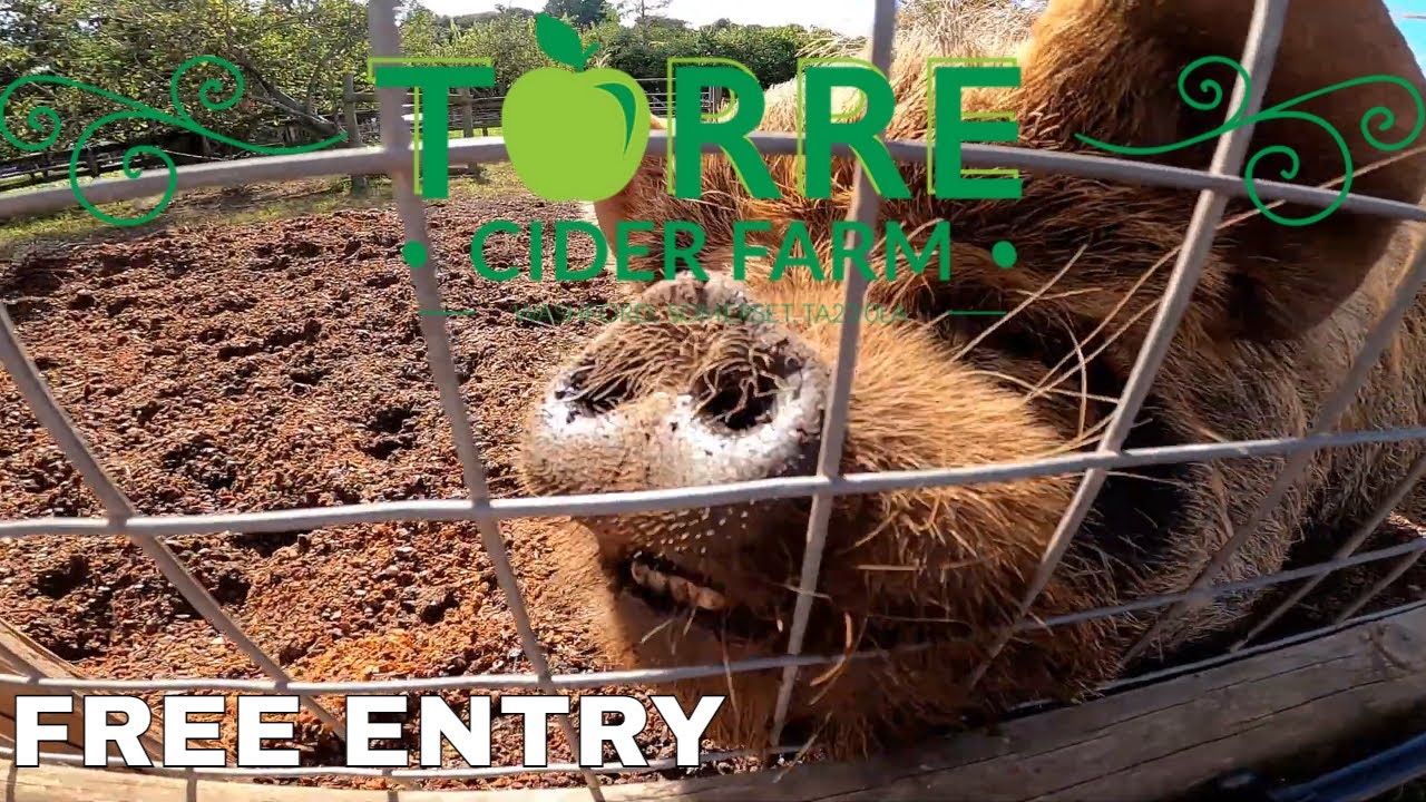 Torre Cider Farm - Near Butlins Minehead & Haven Doniford Bay - FREE ENTRY!!!