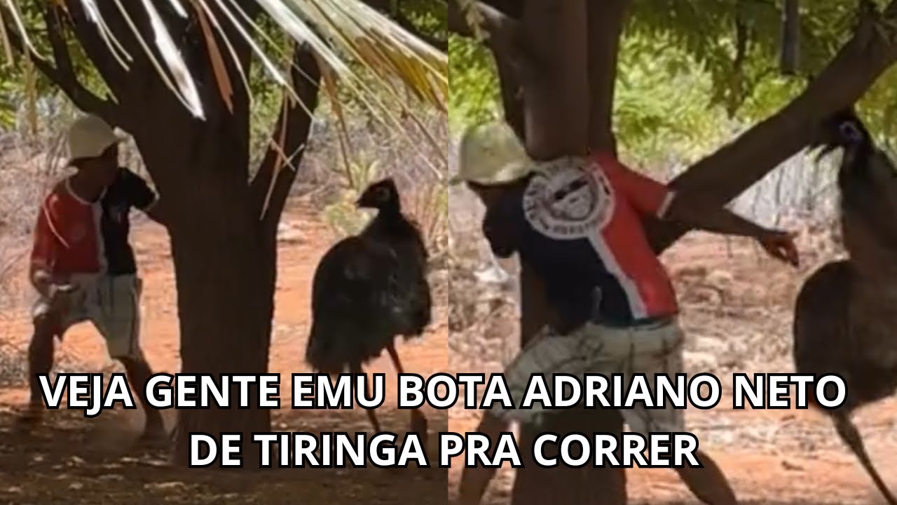 VEJA GENTE EMU BOTAR ADRIANO NETO DE TIRINGA PRA CORRER 🤣