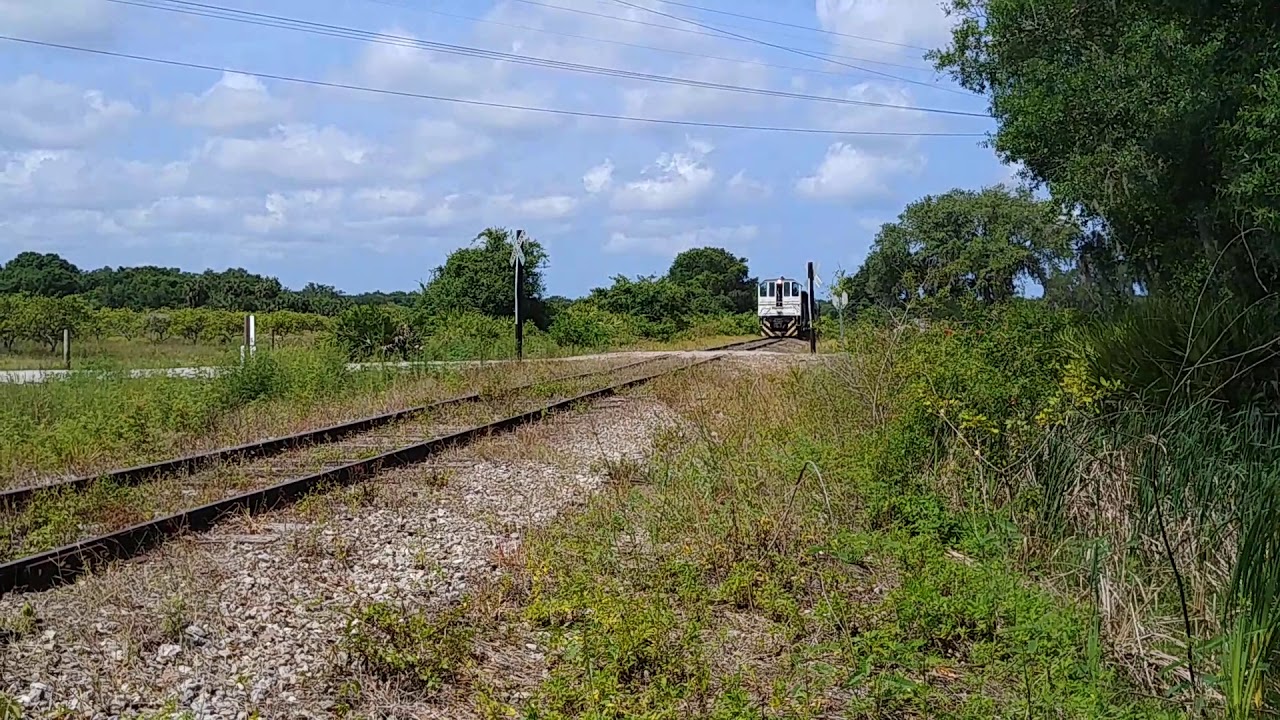 ALCO S2 pulling the local