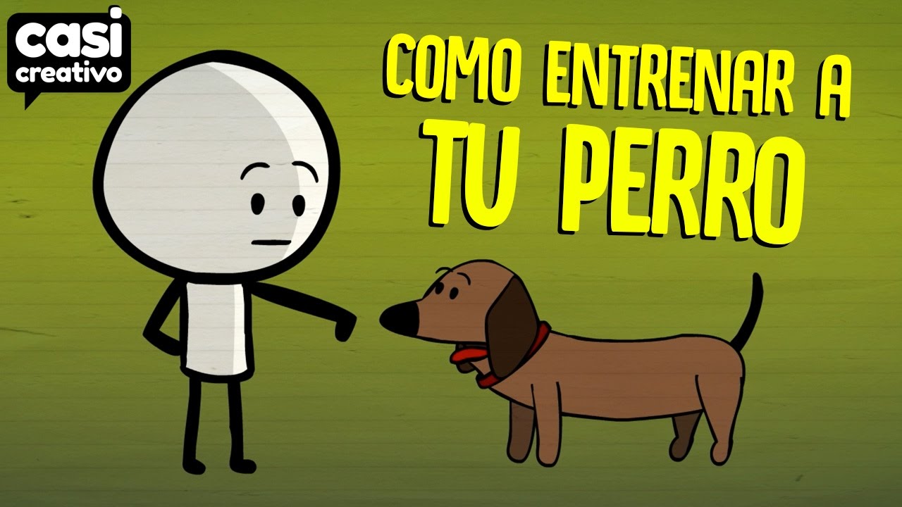 C&oacute;mo entrenar a tu perro | Casi Creativo