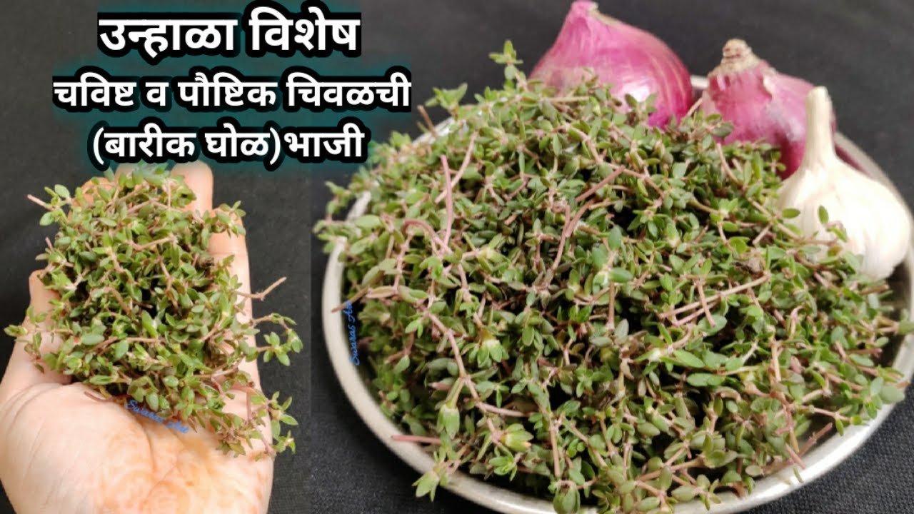 भाजी साफ करण्याची संपूर्ण माहिती व गुणधर्मासह बनवा पारंपारिक चविष्ट चिवईची भाजी|चिघळ भाजी|बारीक घोळ