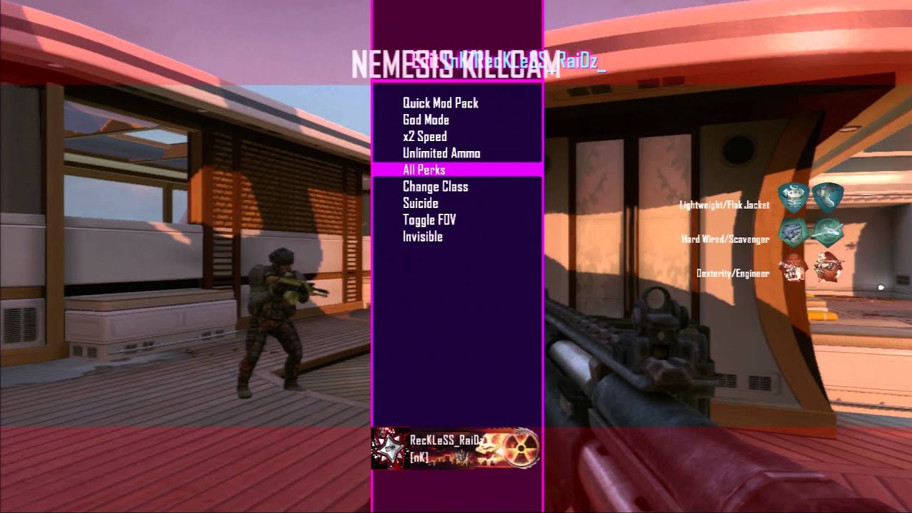 Black ops 2 Glitchers / Hackers