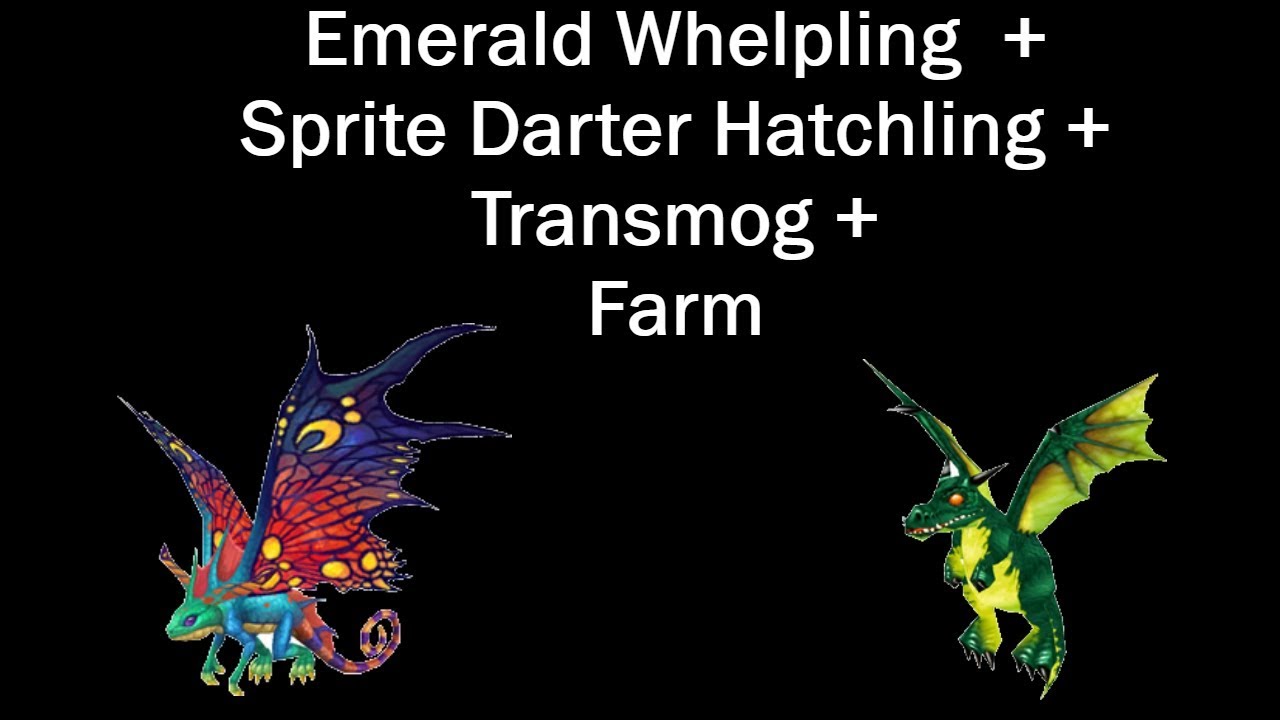 WoW Gold Farm - Emerald Whelpling + Sprite Darter Hatchling + Transmog Farm!