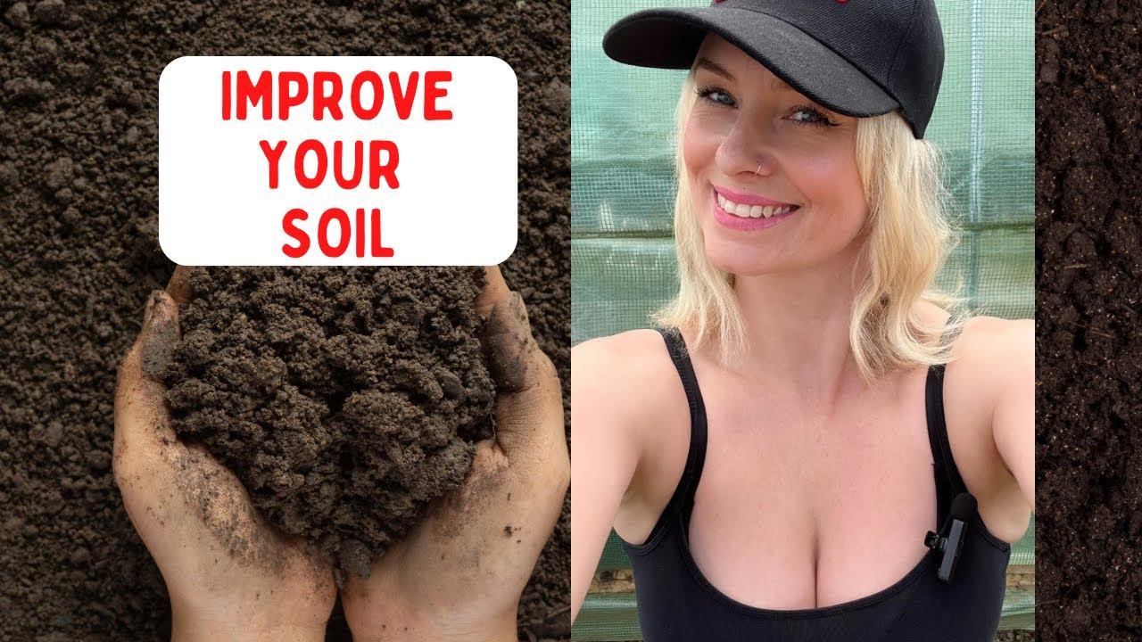 What is the best way to improve soil quality?
