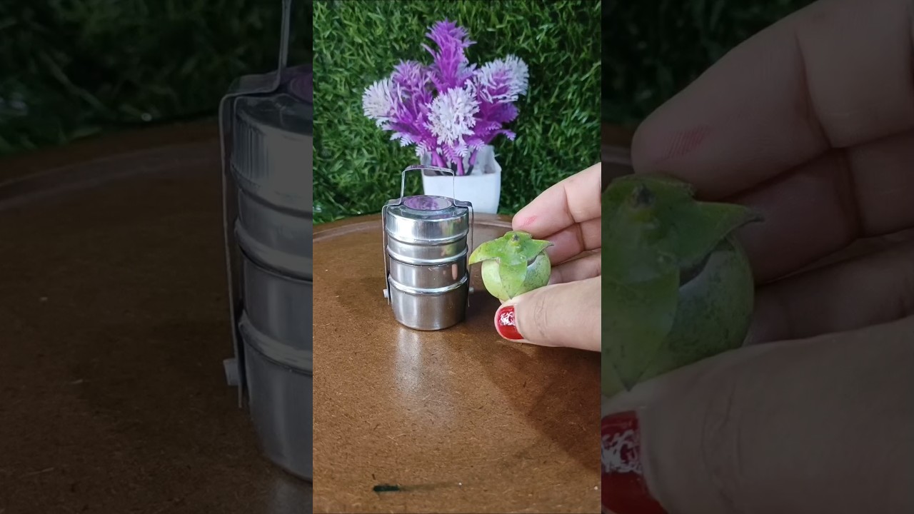 Mini lunch box series 25|Mini kitchen|