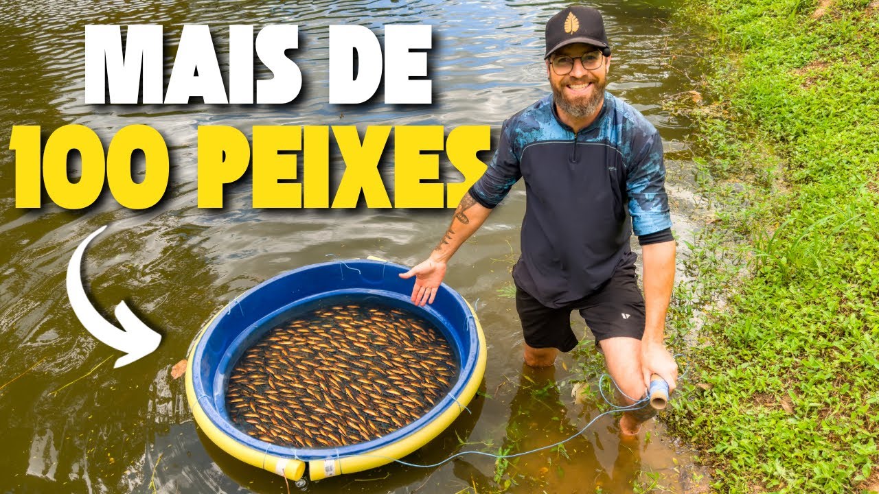 SOLTEI MAIS DE 100 PEIXES NA CAIXA D'AGUA ! Deu certo?