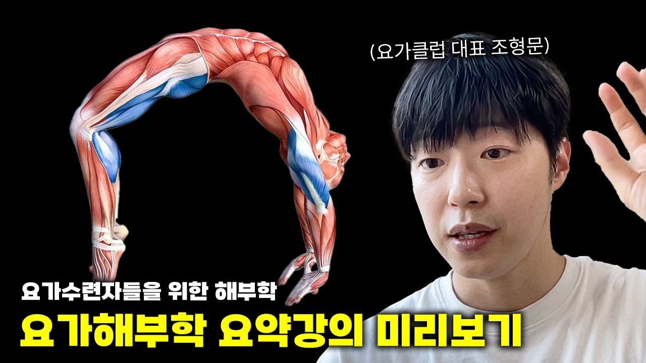요가 기능해부학 핵심 요약 강의 1강 미리보기ㅣ요가 수련자들을 위한 해부학
