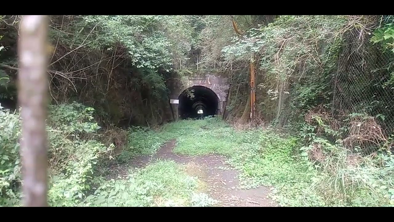 松尾隧道(岩国市)までの廃道　#山口県 #廃道