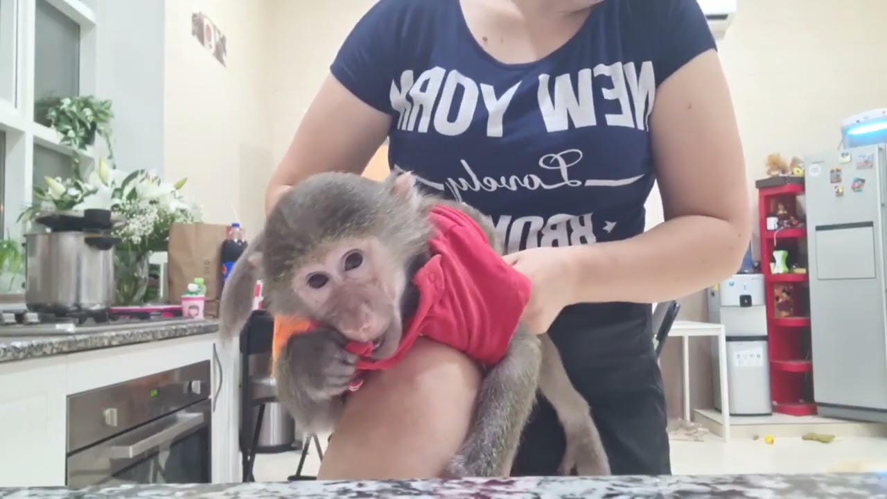 Смена памперса , посмотрите! Вам будет интересно 😜