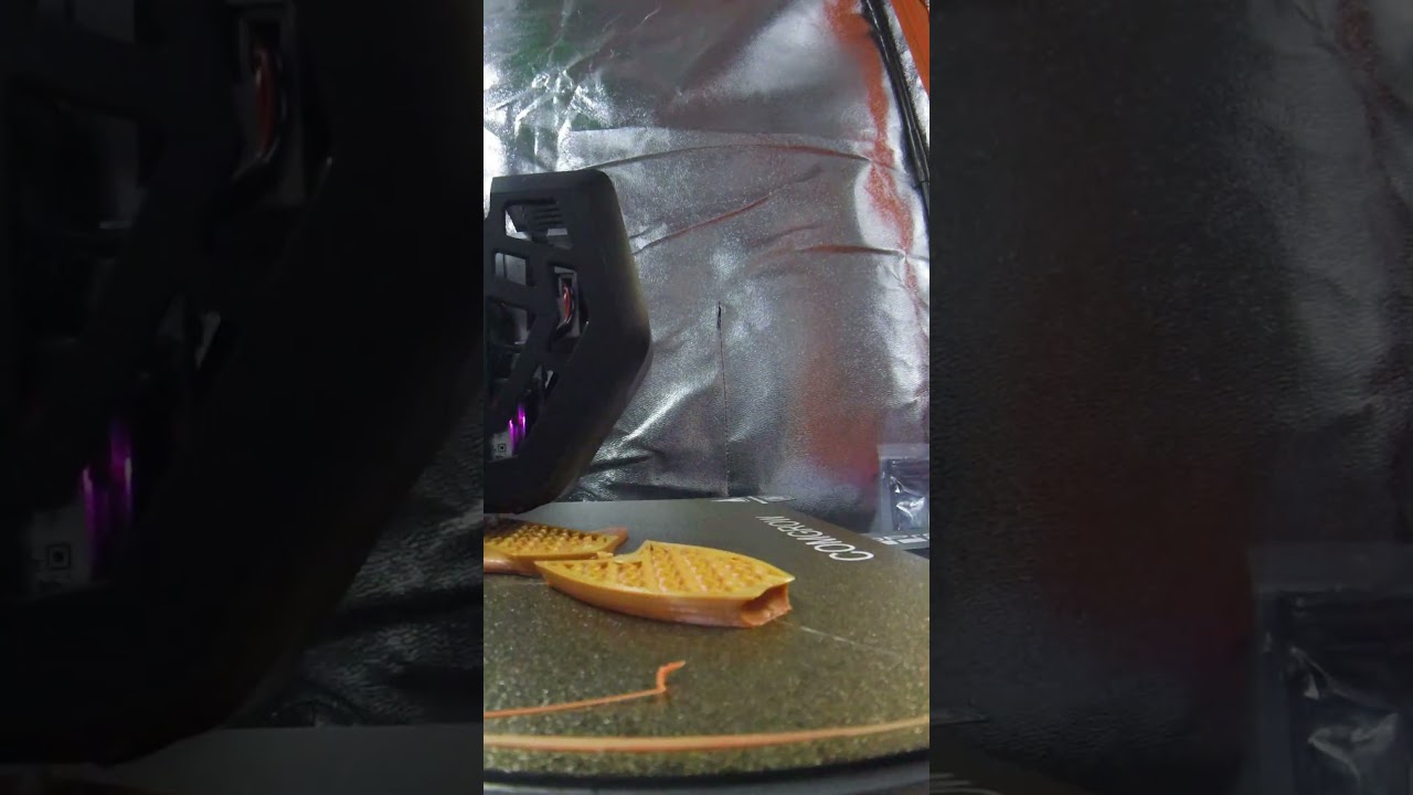 Timelapse Shark 