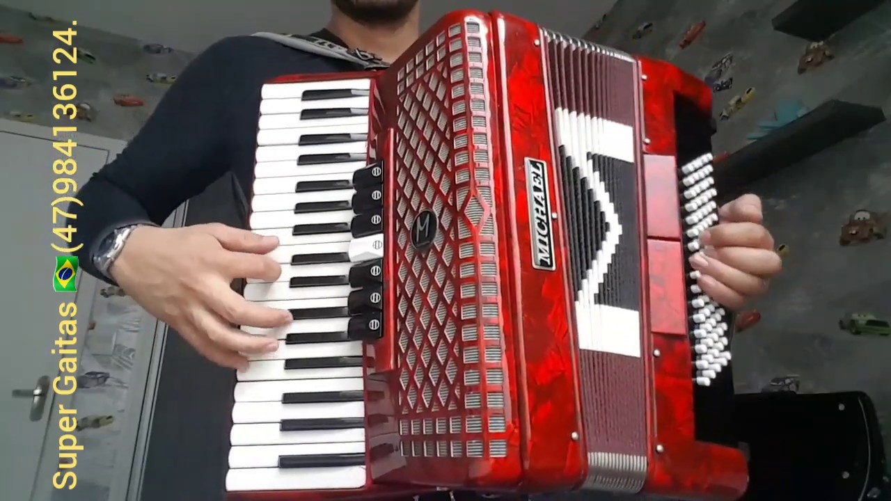 Acordeon Michael 3l5 80 baixos Semi Novo .#supergaitas #michael #music