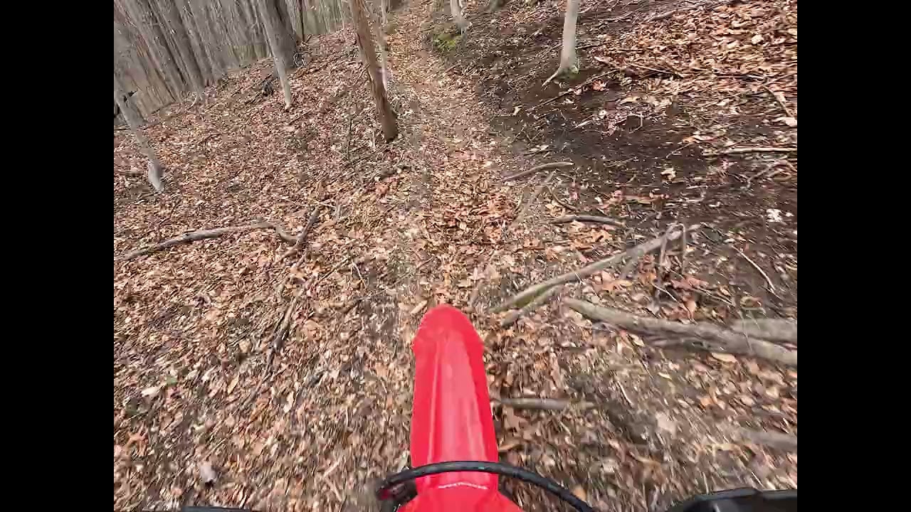 CRF300F Fast Single Track Day 2