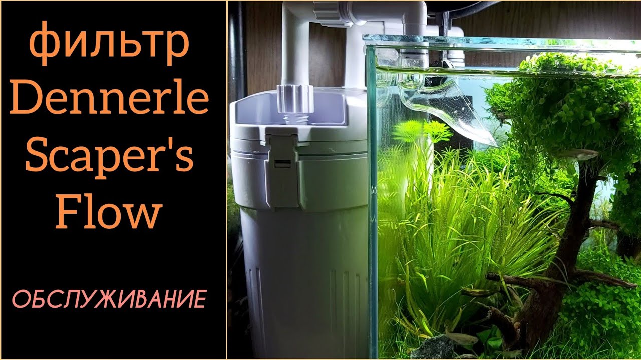 Обслуживание фильтра Dennerle Scaper's Flow