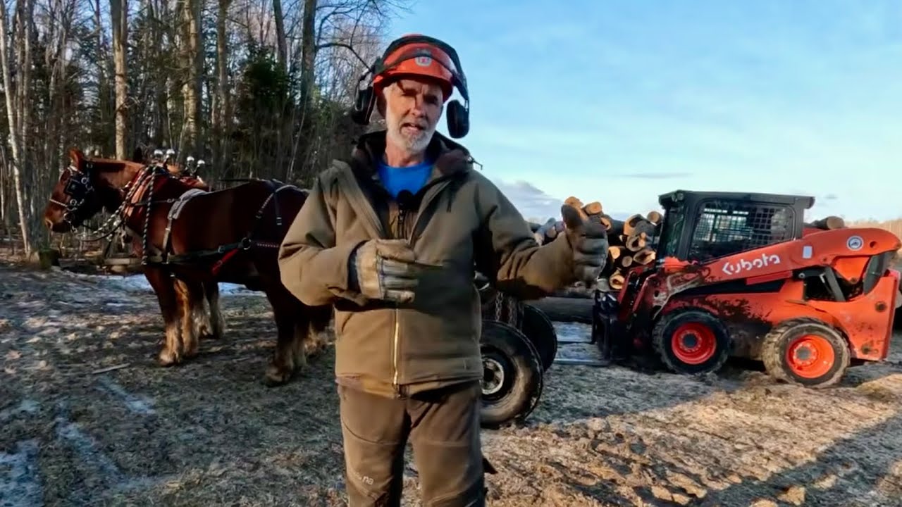 See how many LOGS the Horses pulled out this Winter!! #895