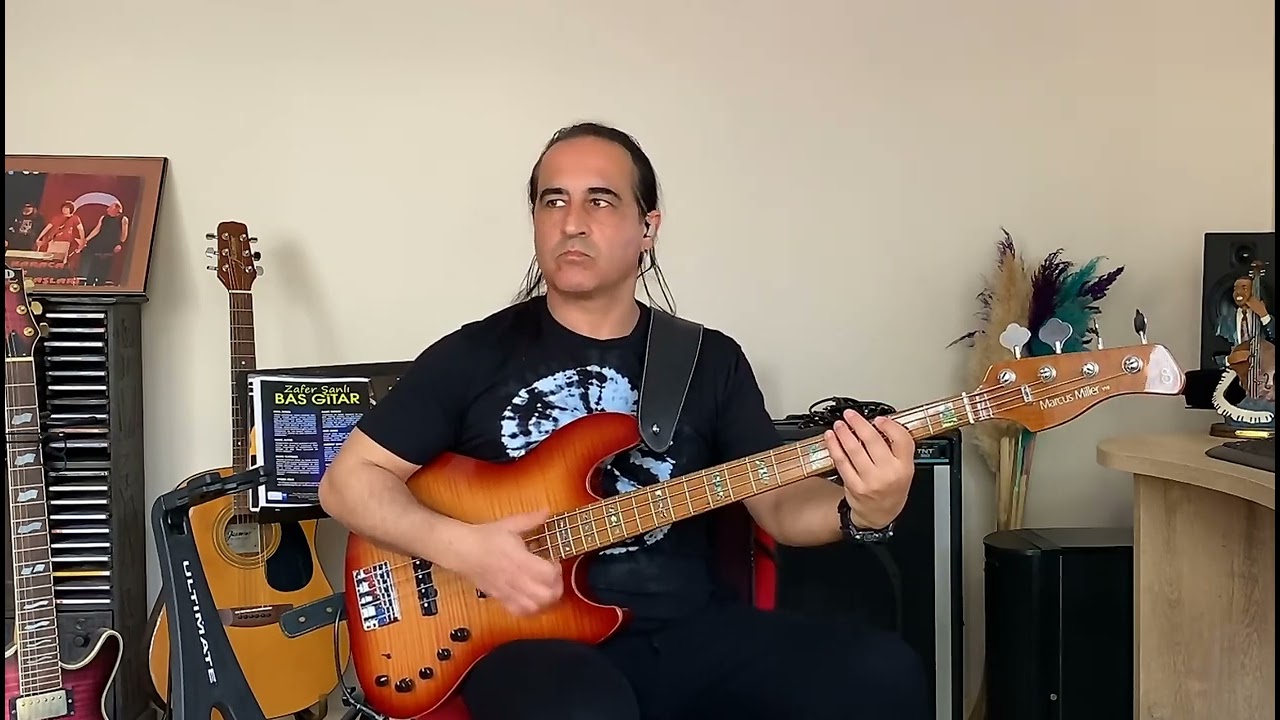 Sezen Aksu | Seni Yerler (Bass Cover)
