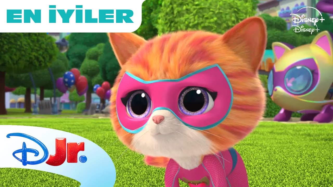 Zsa Zsa’nın En Komik Anları! | Süper Kediler | @DisneyPlusTr