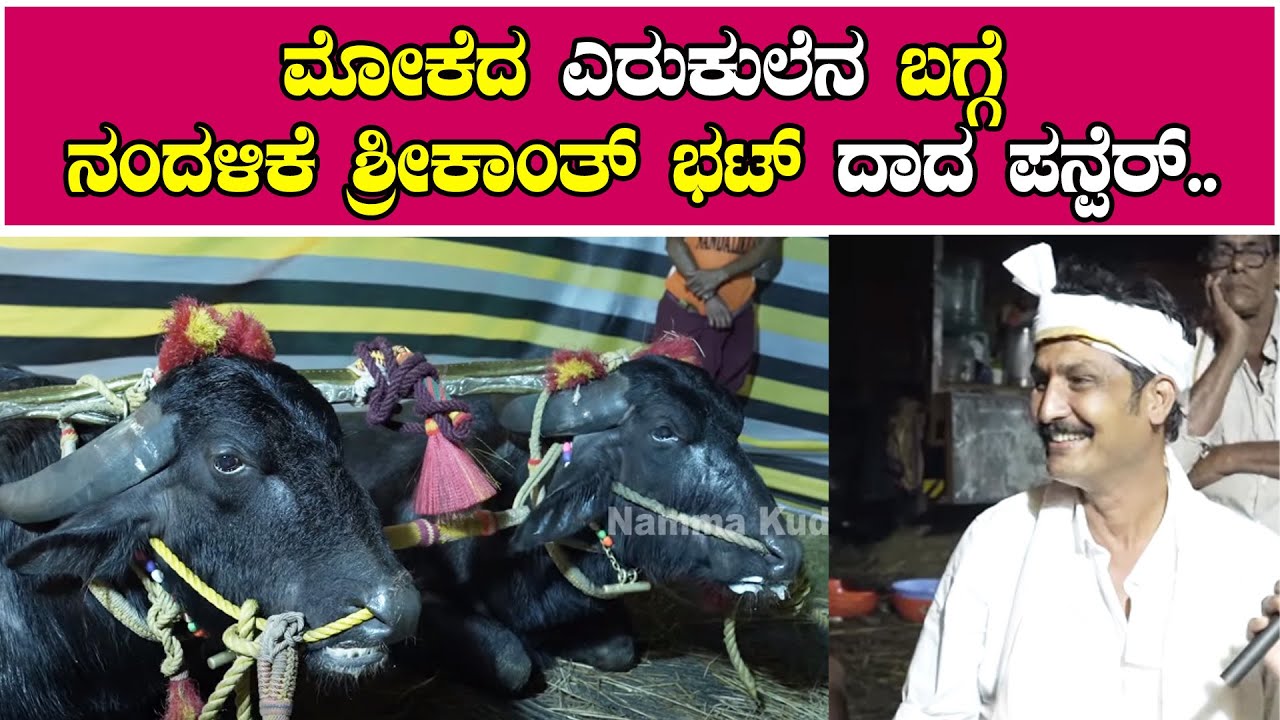 ಮೋಕೆದ ಎರುಕುಲೆನ ಬಗ್ಗೆ ನಂದಳಿಕೆ ಶ್ರೀಕಾಂತ್ ಭಟ್ ದಾದ ಪನ್ಫೆರ್..