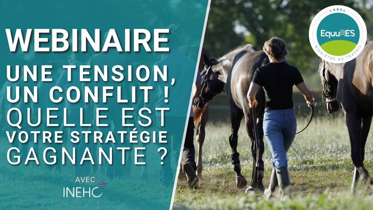 Webinaire : Une tension, un conflit ! Quelle est votre stratégie gagnante ?