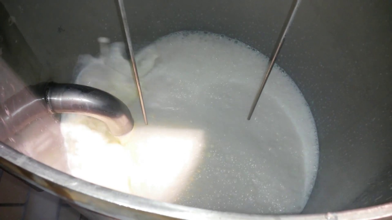 PASTORIZZATORE GELATO ZETAGI IMPIANTI SRL