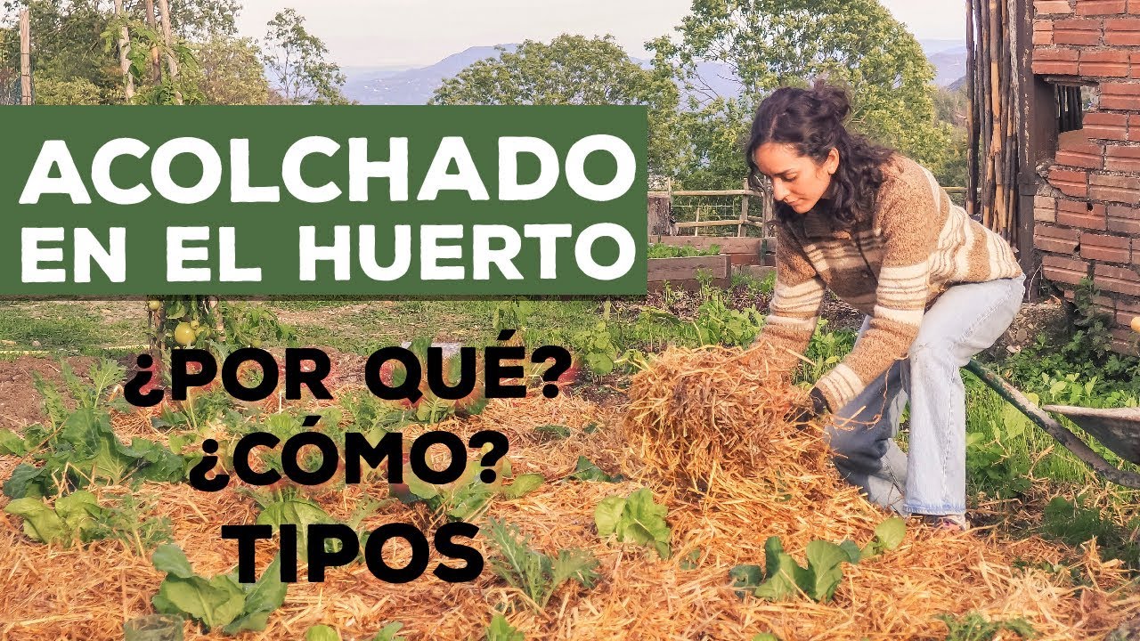 ACOLCHADO EN EL HUERTO | C&oacute;mo, por qu&eacute; y tipos