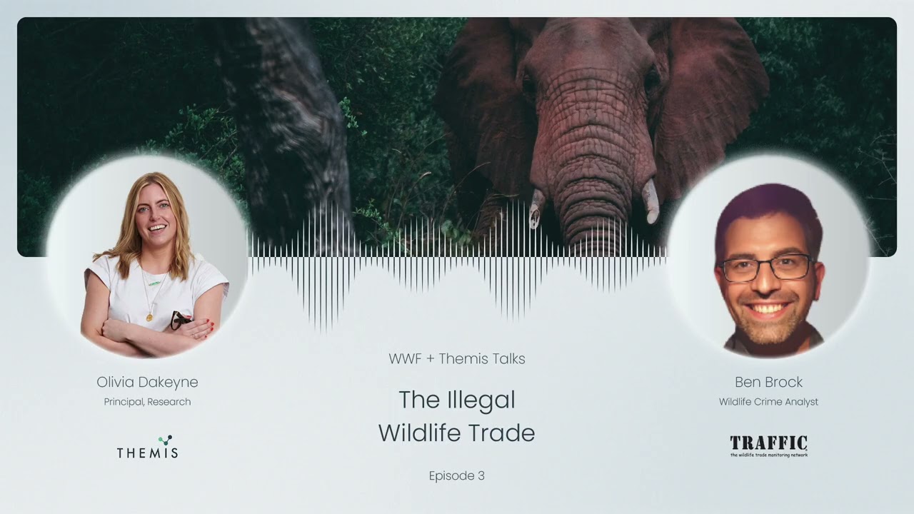 Ep 3: The Illegal Wildlife Trade, with Ben Brock