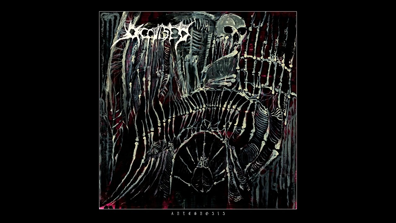 OCCULSED - Antegnosis, 2025