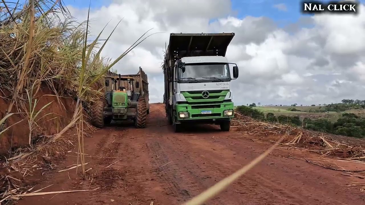 Segunda parte/ corte de cana no engenho macaco 