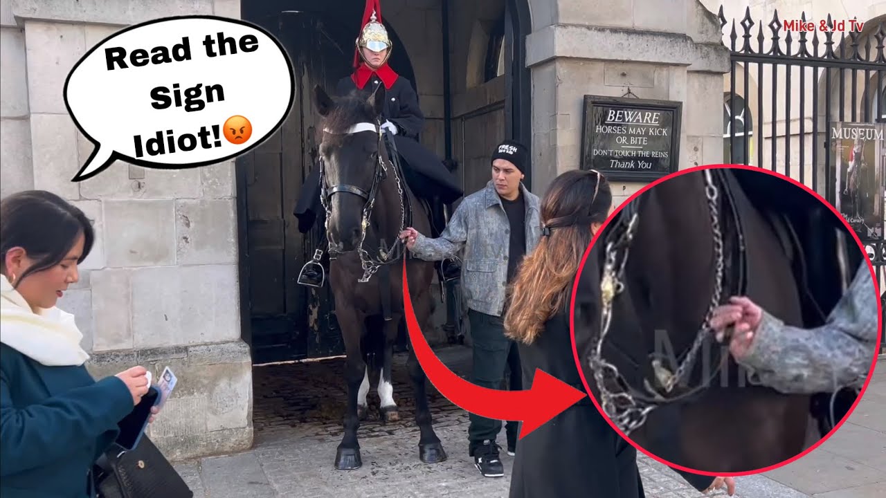 Stupid Man PULLS the Horse REINS ON PURPOSE! Watch the Kings Guard Did!