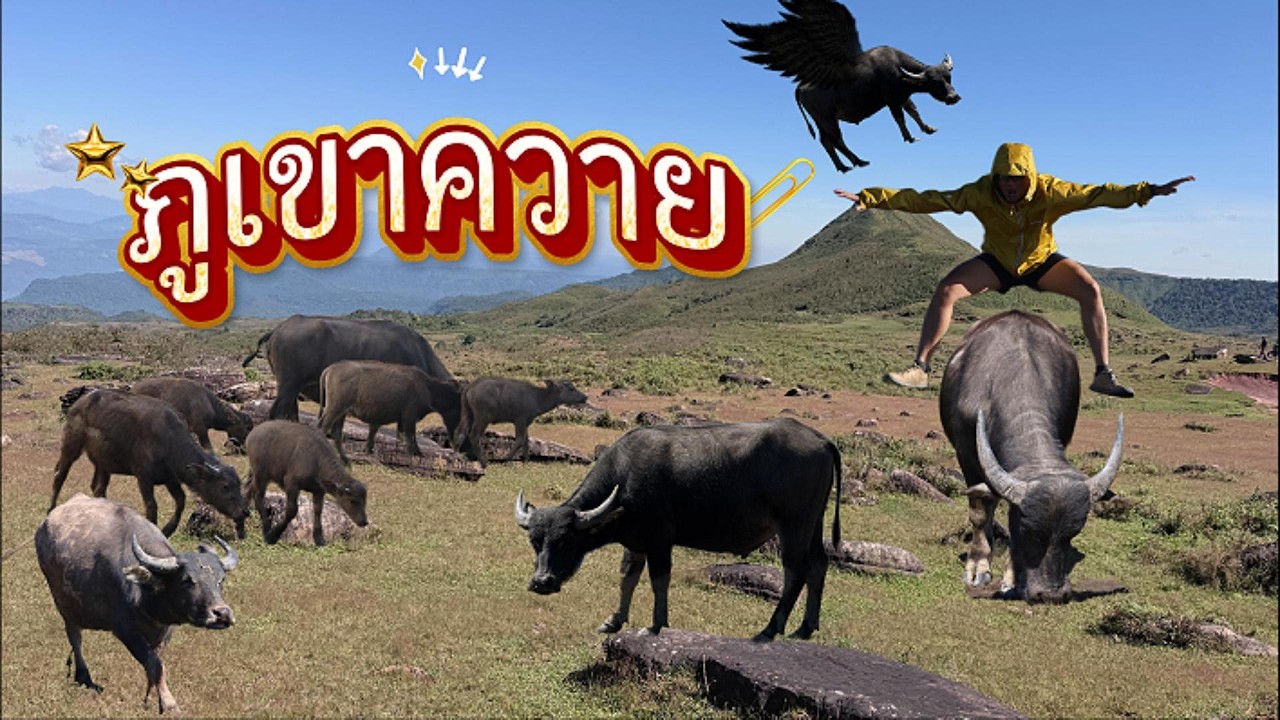 ภูเขาควาย (Day 3)