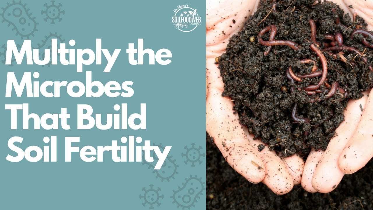 The Science of Soil Fertility in 3-Steps Part 2: Multiply the Microbes That Build Soil Fertility