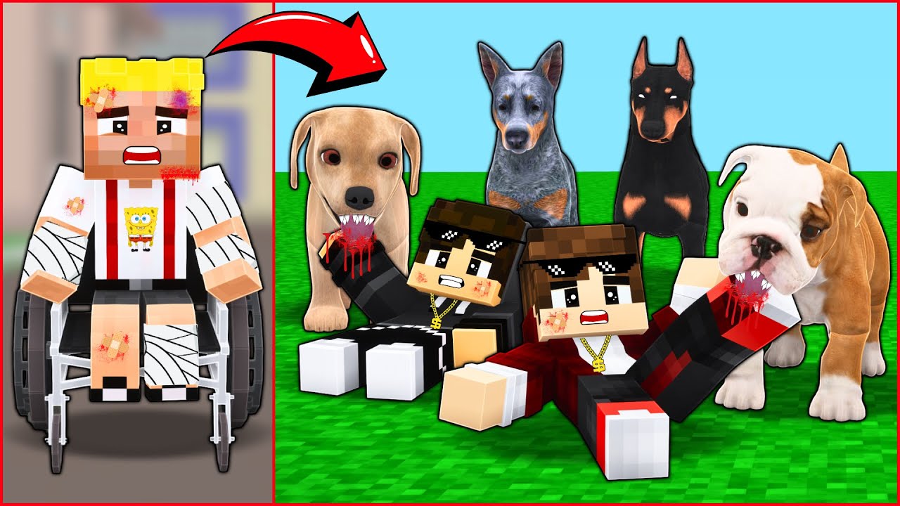EFEKAN YARALANDI, KÖPEK ÇETESİ İNTİKAM ALDI! 😂 - Minecraft