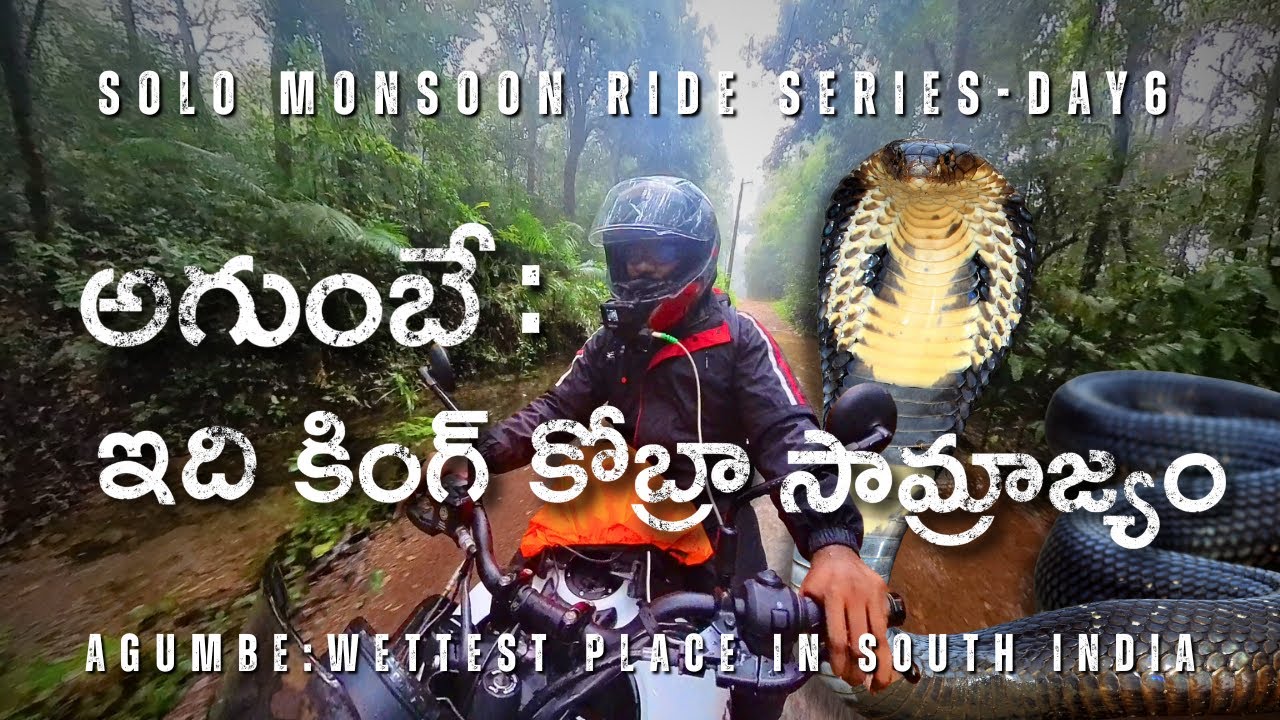 🌿🐍 The Land of King Cobra – Agumbe Jungle Adventure | Wildlife & Rainforest Exploration 🌧️🌲