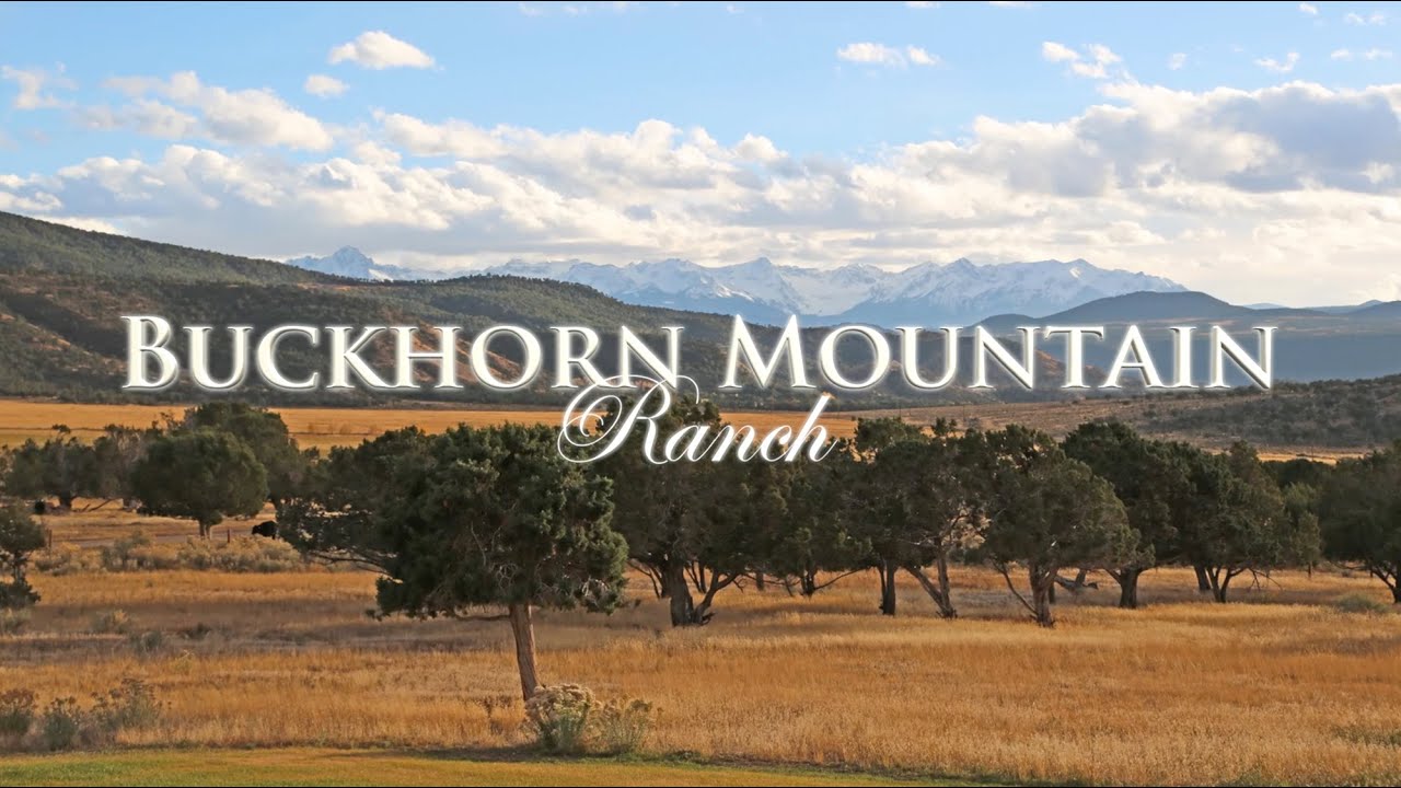 Buckhorn Mountain Ranch • Colona, Colorado