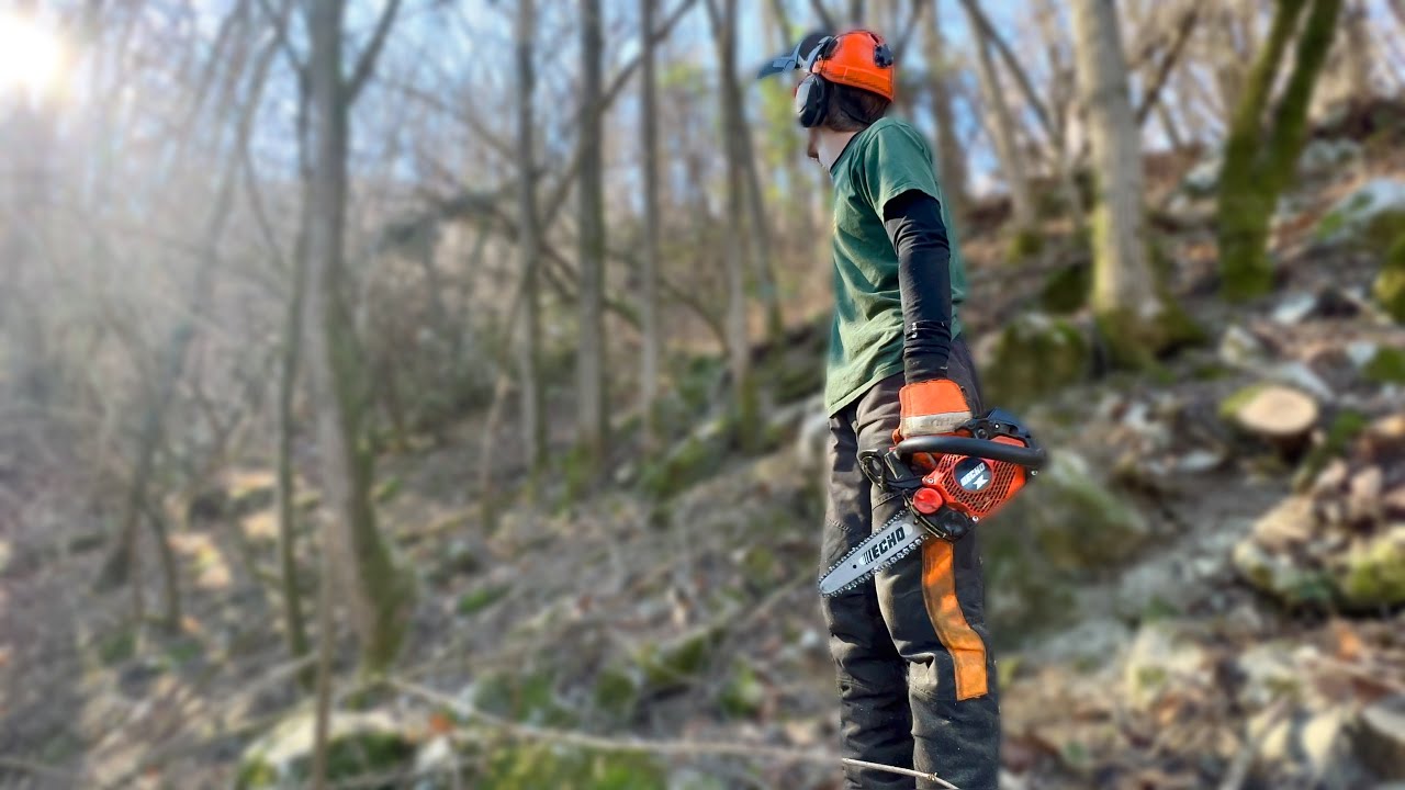 Misurare l’altezza di un albero! QUANTO È ALTO???