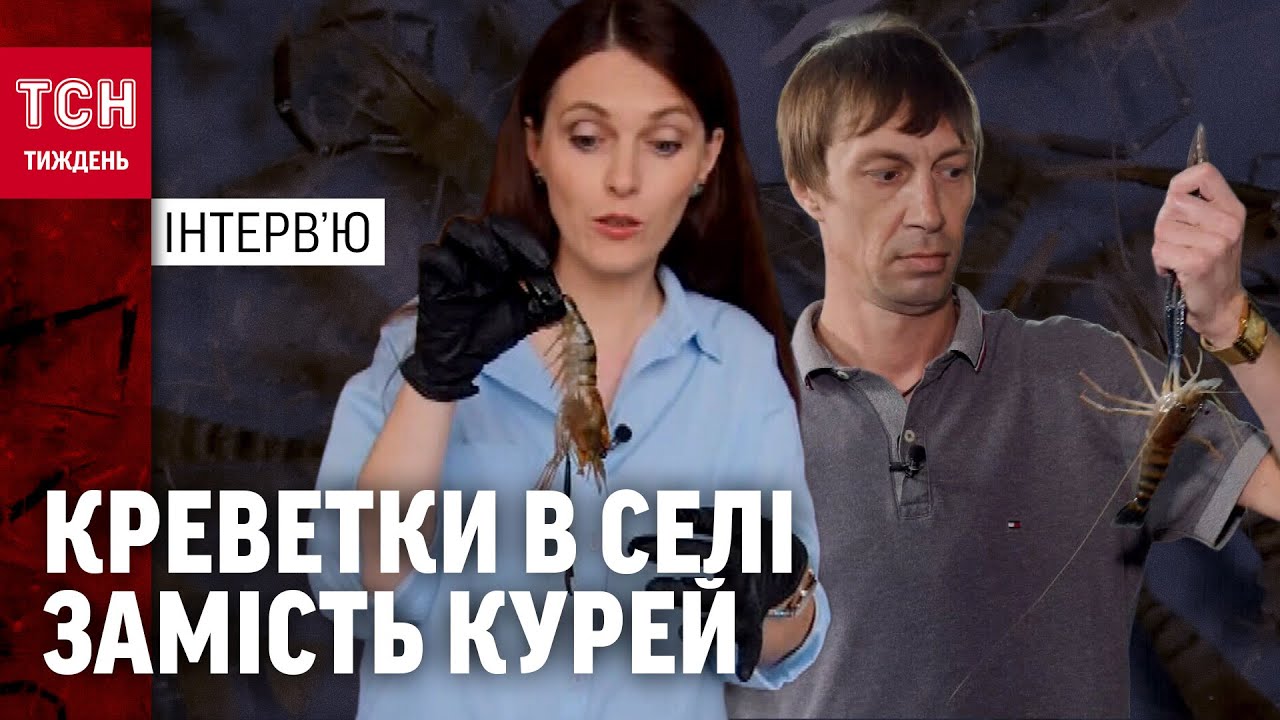 УКРАЇНЦІ ВИГОДОВУЮТЬ НА ГОРОДИНІ КРЕВЕТКИ ТА ЗАРОБЛЯЮТЬ НА ЦЬОМУ! ЯК ЦЕ МОЖЛИВО?! / ТСН.Тиждень