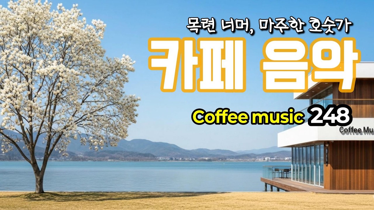 그냥 틀어 놓으세요🌸따뜻한 봄 햇살 속 카페 음악 248☕ 카페에서 듣기 좋은 노래 | Coffee music 커피 음악Ⓡ