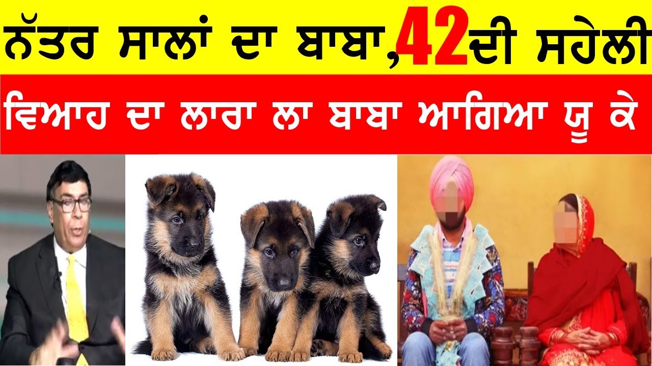 69  ਸਾਲਾ ਬਾਬਾ ਤੇ ਸਹੇਲੀ 42 ਦੀ, ਪਿਆਰ ਚ ਪਾ ਛੱਡ ਆਇਆ ਮਾਸ਼ੂਕ #bassishow @GURBHEJSIDHUV8 #gaundapunjab