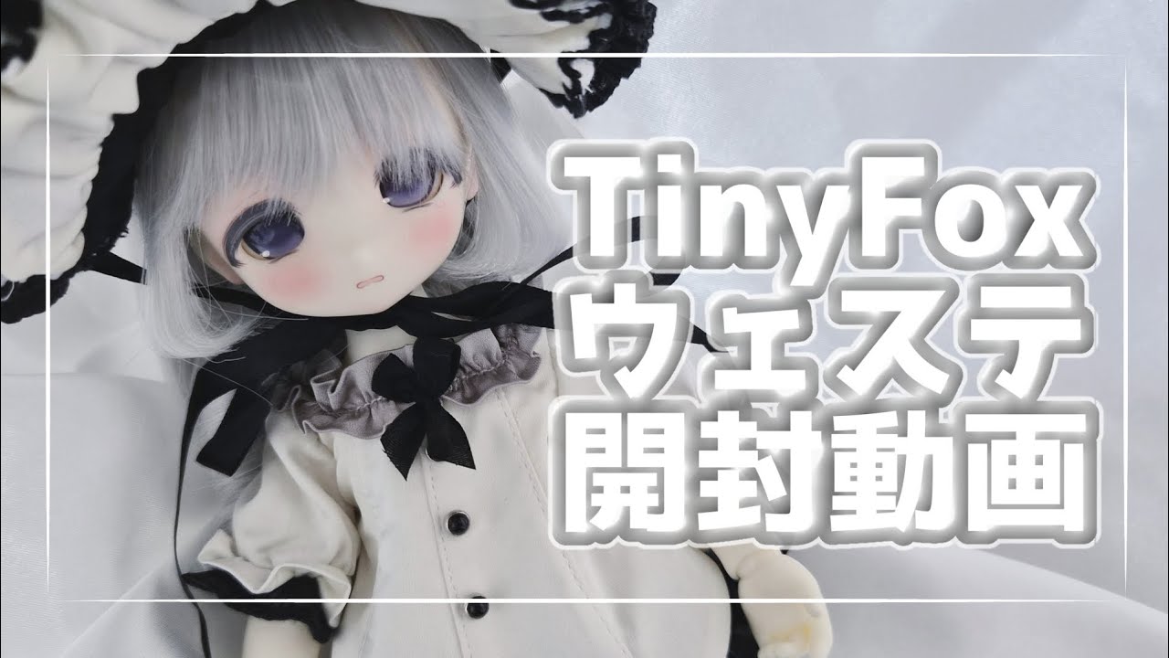 【開封動画】TinyFox ウェステ ミス・オイスター　タイニーフォックス　お迎え！