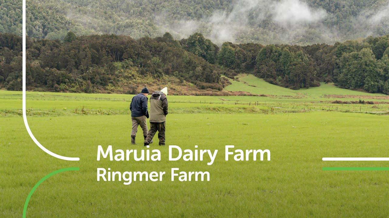 Maruia Dairy Farm | Ringmer Farm | PGG Wrightson