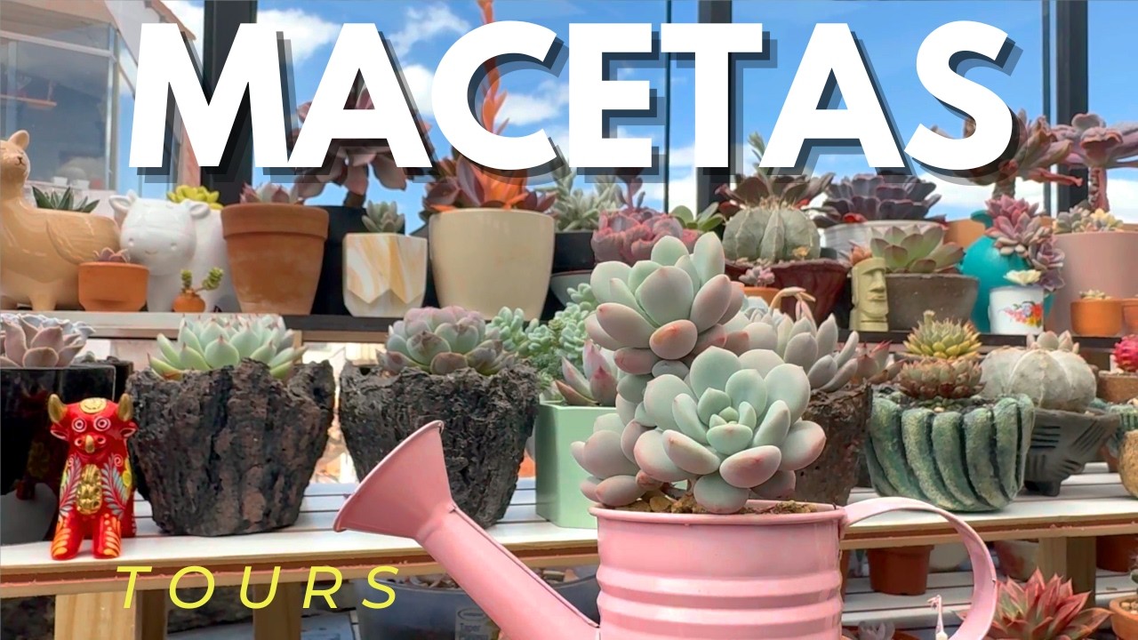 SUCULENTAS Macetas de Colección tours Plant Pots