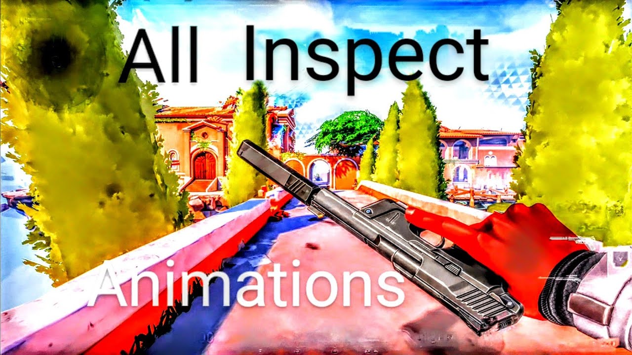 Valorant - All Inspect Animations