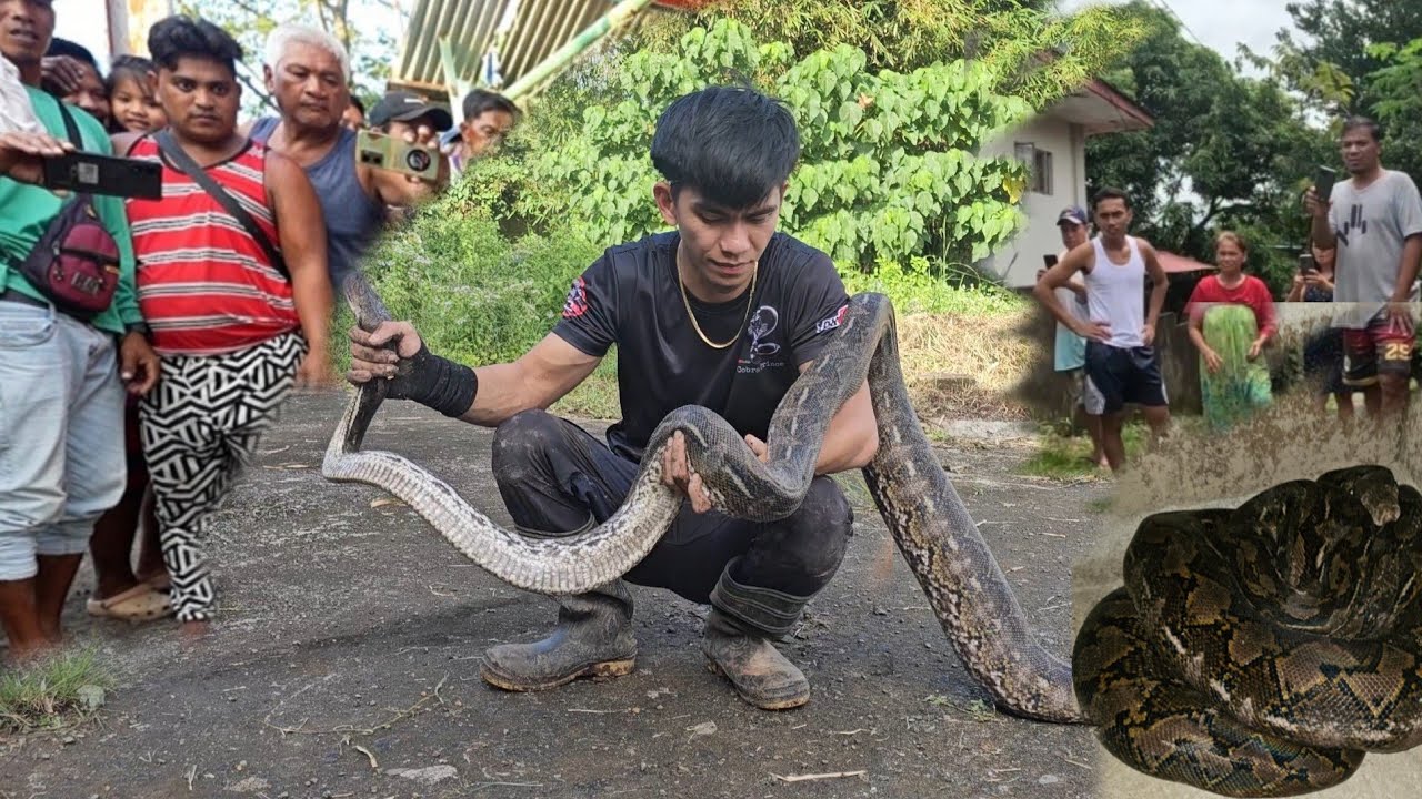 KAWAWANG SAWA