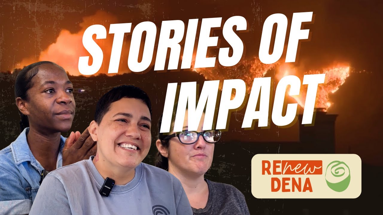 See the Impact of ReNew Dena